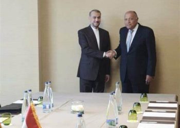 FMs of Egypt, Iran confer on bilateral ties, Gaza war