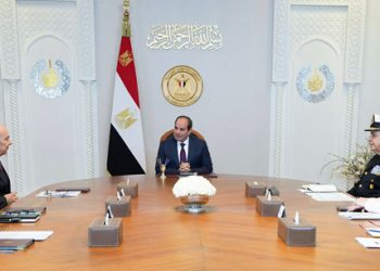 Egypt keen to boost co-operation with Dassault