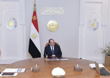 Sisi raises minimum wage for civil servants to LE6000