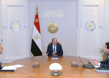 Sisi: Health sector’s investment incentives augment offering of integrated medical services to all citizens