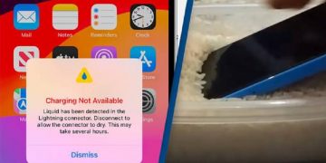 Apple warns not to put wet iPhones in rice 1 - Egyptian Gazette Apple warns not to put wet iPhones in rice