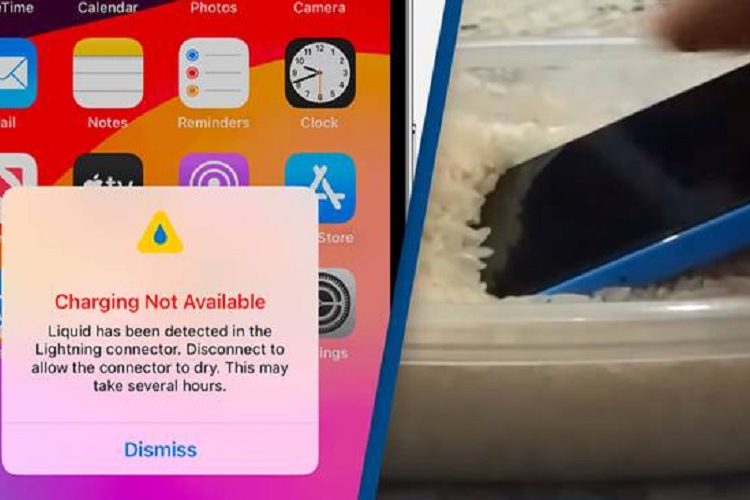 Apple warns not to put wet iPhones in rice 1 - Egyptian Gazette