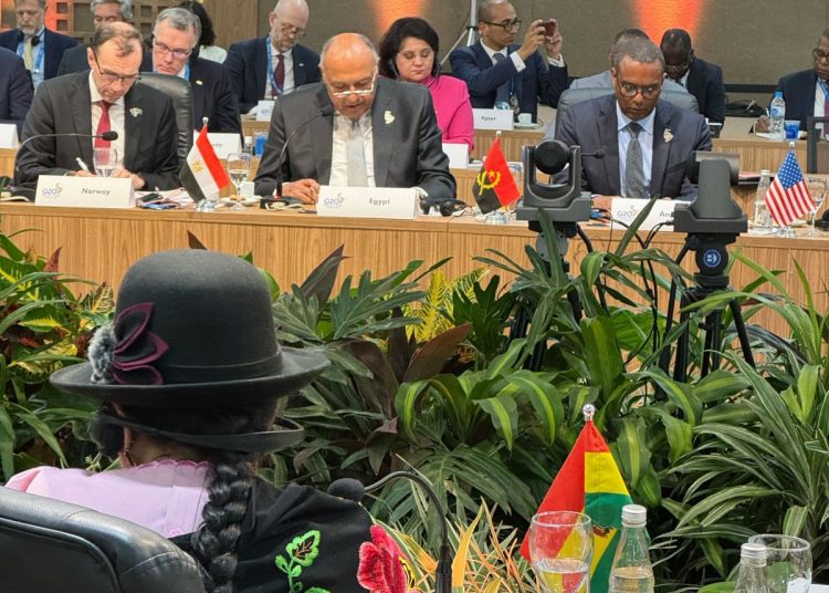 Egypt FM underlines need to ensure that Israel refrains from any military action in Rafah 1 - Egyptian Gazette