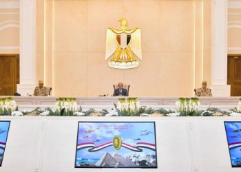 Sisi values Armed Forces efforts in protecting national security