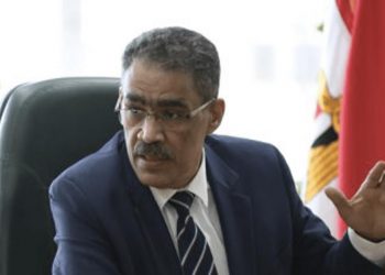 Rashwan: Egypt submits memorandum to ICJ on Israel practices breaching int’l legitimacy