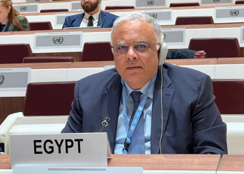 Egypt’s representative to UN chairs expanded briefing session on situation in Gaza