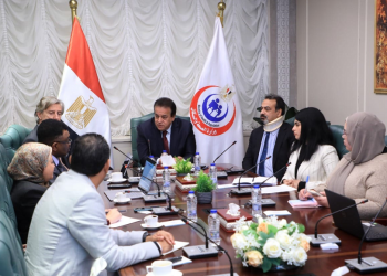 Egypt, UNDP discuss supporting development of health sector