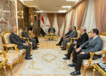 Egypt, Bahrain probe co-operation in Military industrialisation