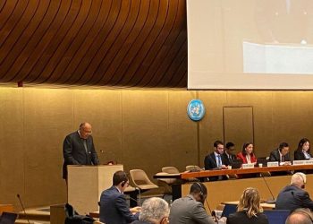 FM: Ongoing war in Gaza forces powers loving peace to restore ME stability