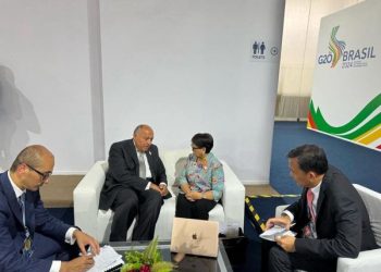 Shoukry, Indonesia FM discuss boosting bilateral ties, situation in Gaza