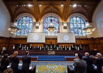 Advisor to FM to present Egypt’s oral argument before ICJ on Israeli practices