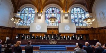 Advisor to FM to present Egypt’s oral argument before ICJ on Israeli practices