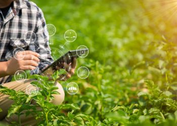 Digital agriculture key for boosting food, water security