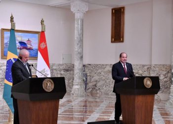 Egypt, Brazil call for urgent ceasefire in Gaza, establishment of Palestinian state