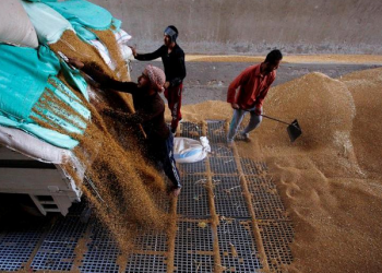 GASC announces purchase of 180,000 tons of Ukrainian, Romanian wheat