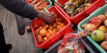 World food price index falls near 3-year lows in Jan.