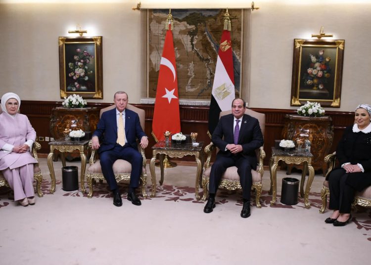 Sisi: Erdogan and I agreed on necessity of immediate ceasefire in Gaza 1 - Egyptian Gazette