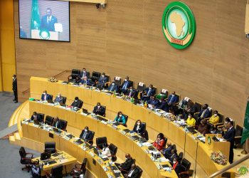 Egypt elected as member of African Peace & Security Council for 2 years