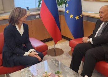 Shoukry holds session of talks with his Slovenian counterpart