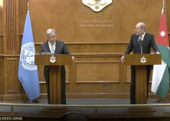 Jordan FM calls on UNSC to immediately stop the war on Gaza Strip