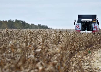 European Commission proposes increased tariffs on Russian and Belarusian grain products