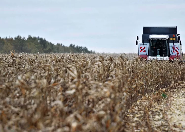 European Commission proposes increased tariffs on Russian and Belarusian grain products 11 - Egyptian Gazette