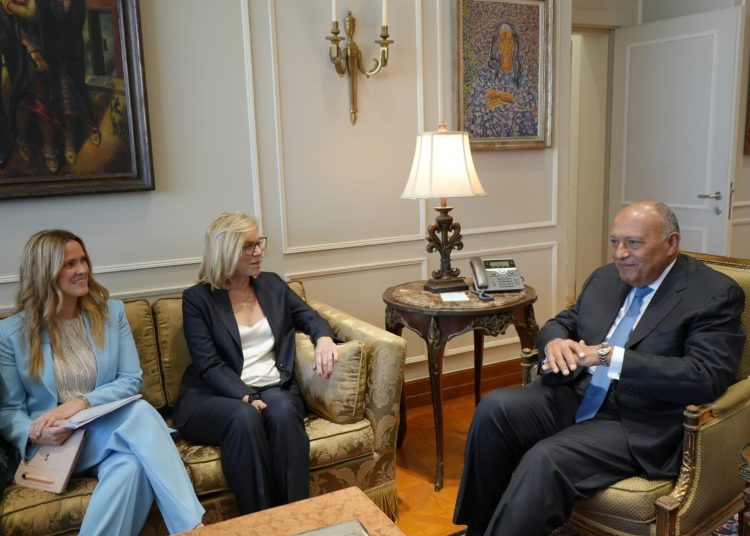 FM discusses with UN coordinator deteriorating situation in Gaza 1 - Egyptian Gazette