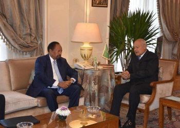 Abul-Gheit: Ready to offer any required assistance to help unite Sudan