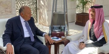 Egypt, Qatar FMs co-chair joint higher committee meetings