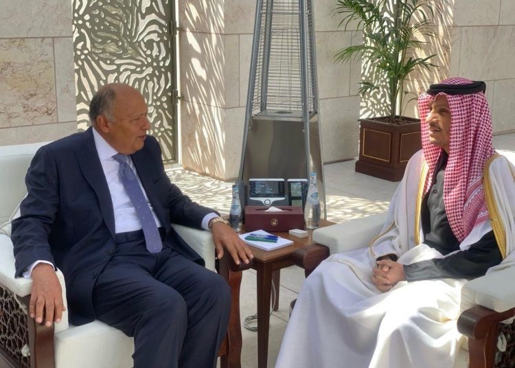 Egypt, Qatar FMs co-chair joint higher committee meetings 2 - Egyptian Gazette Egypt, Qatar FMs co-chair joint higher committee meetings 1 - Egyptian Gazette