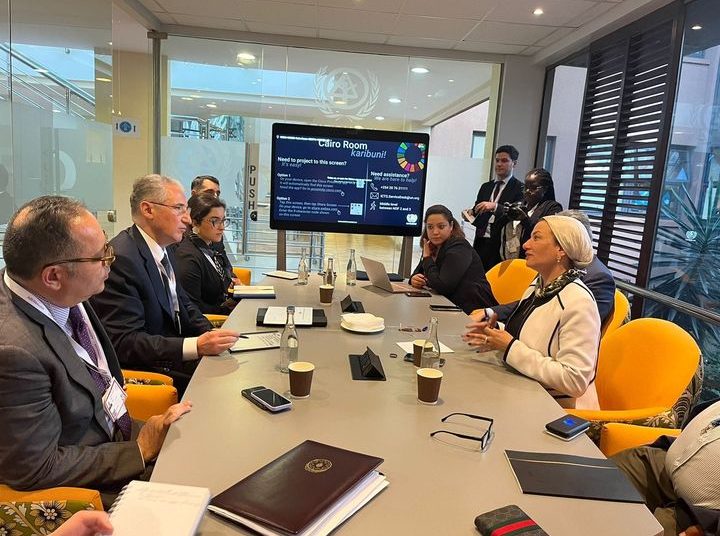 Environment minister meets her Azeri counterpart 1 - Egyptian Gazette