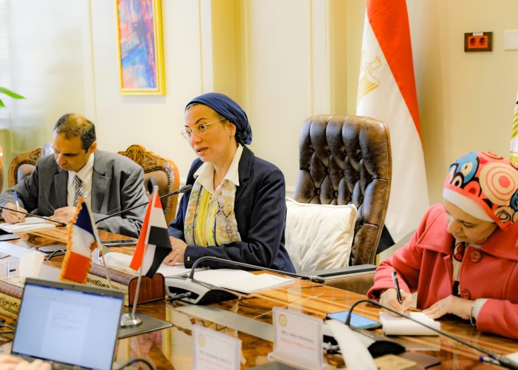 Egypt, France mull ways to cement climate-linked coop. 1 - Egyptian Gazette