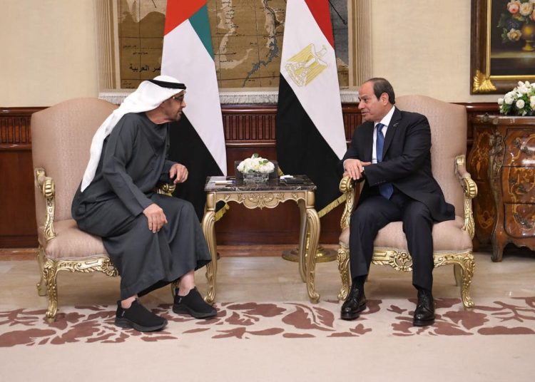 Egypt, UAE see two-state solution as solo path for regional justice, security, stability 2 - Egyptian Gazette Egypt, UAE see two-state solution as solo path for regional justice, security, stability 1 - Egyptian Gazette