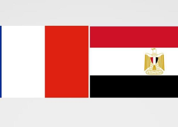 ‘Cairo, Paris exert tireless efforts to settle Gaza crisis’