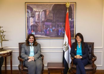 Int’l coop., emigration ministries keen to combat illegal immigration under Sisi’s directives