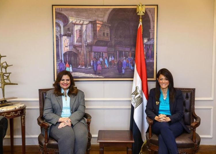 Int’l coop., emigration ministries keen to combat illegal immigration under Sisi’s directives 1 - Egyptian Gazette