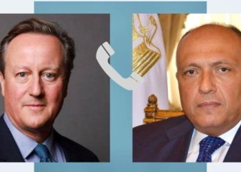 Egypt, British FMs discuss Gaza over phone