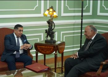 FM asserts priority of reaching permanent ceasefire to protect lives of Palestinians