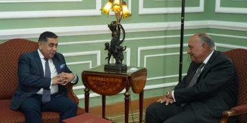 FM asserts priority of reaching permanent ceasefire to protect lives of Palestinians