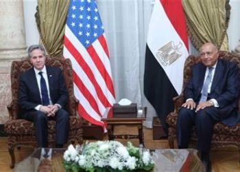 Shoukry holds meeting with Blinken in Cairo