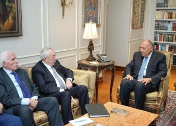 Egypt reiterate firm commitment to Palestinian cause