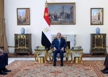 Sisi, Kenyan defence minister probe int’l, regional developments