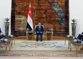 Sisi urges int’l community to shoulder responsibility to protect Palestinians