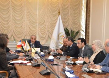 Egypt, France review silo project