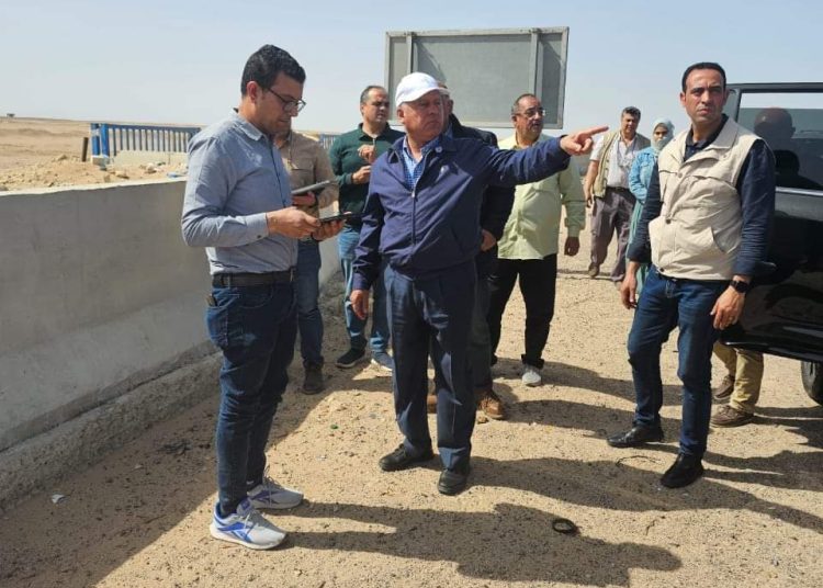 High speed rail network under inspection 1 - Egyptian Gazette
