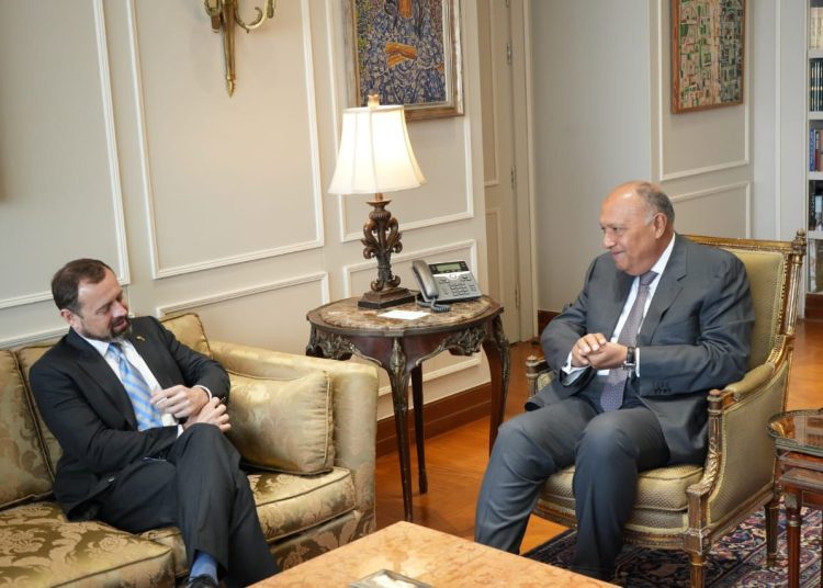 FM says any political process in Sudan should include all effective parties 2 - Egyptian Gazette FM says any political process in Sudan should include all effective parties 1 - Egyptian Gazette