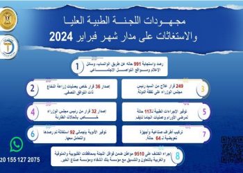 Egypt PM lauds efforts of higher medical committee in February