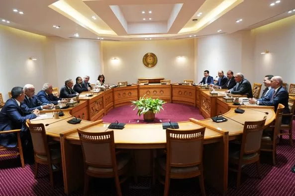 FM raises alarm over expanding scale of conflict in region 2 - Egyptian Gazette FM raises alarm over expanding scale of conflict in region 1 - Egyptian Gazette