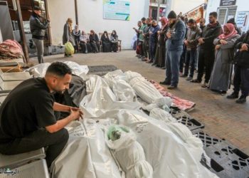 Israel commits nine new massacres in the Gaza Strip, leaving 83 dead – ministry