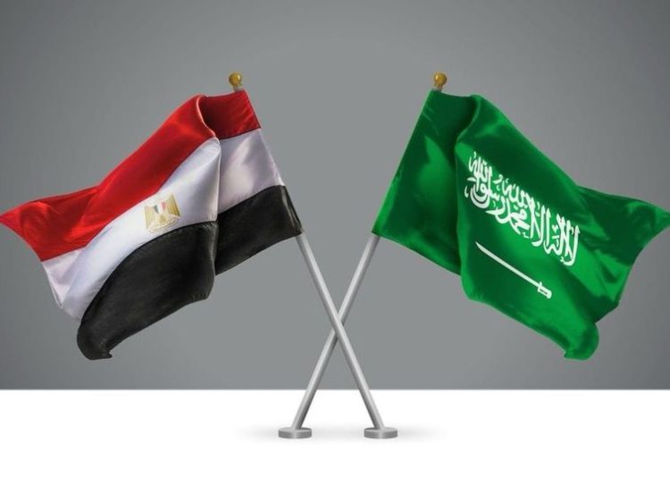 Trade min. participates in 18th Egyptian-Saudi Joint Committee 1 - Egyptian Gazette